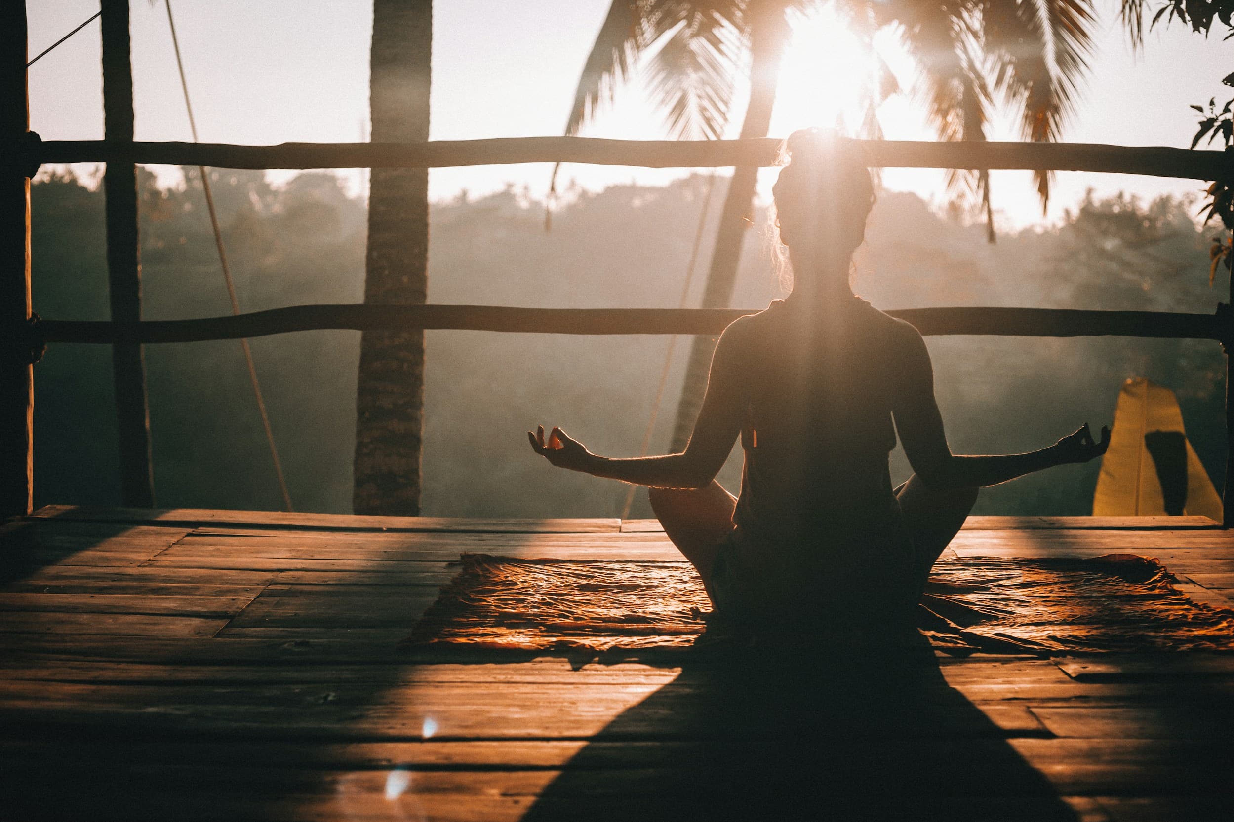 Ayurveda